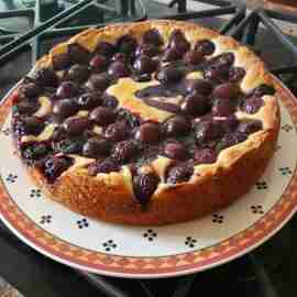 Koblenz German cherry cheesecake with Quark, black cherry fruit spread, fresh cherries, and whipped cream