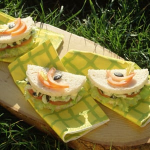 Open Air Waldorf Sandwiches
